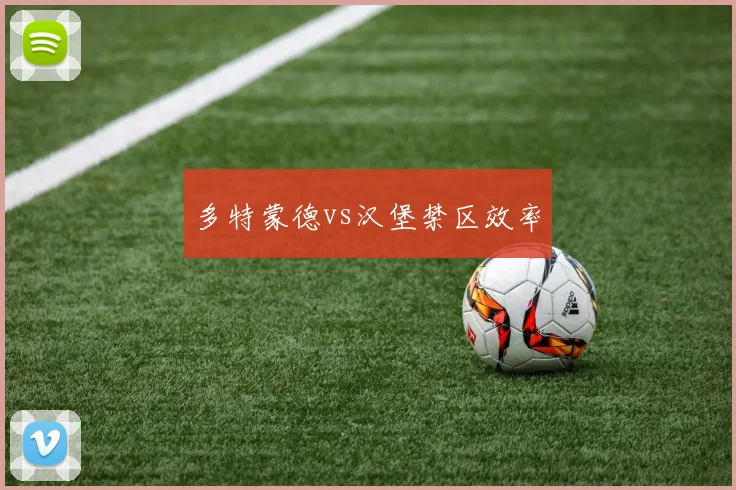 多特蒙德vs汉堡禁区效率