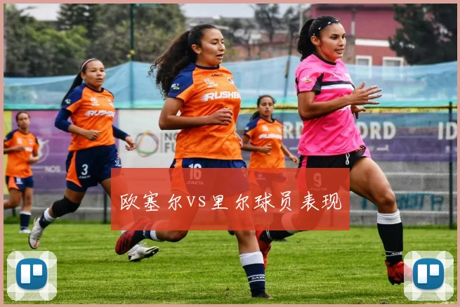 欧塞尔vs里尔球员表现