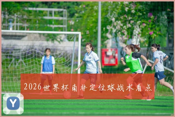2026世界杯南非定位球战术看点