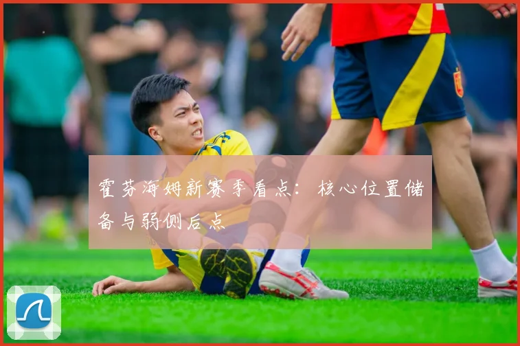 霍芬海姆新赛季看点：核心位置储备与弱侧后点
