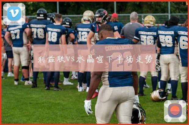利兹联vs水晶宫下半场走势